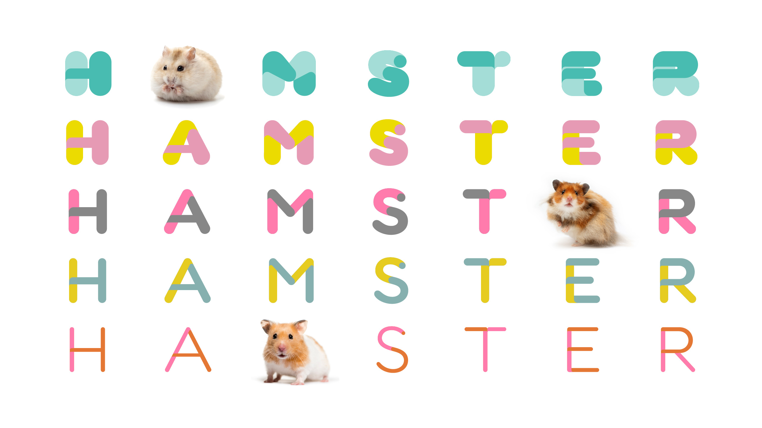 Hamster Weights and Hamster Photos